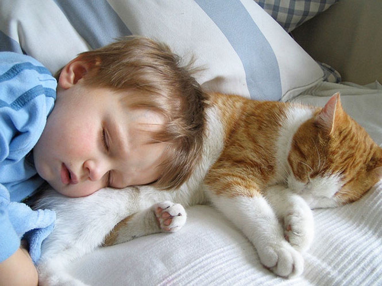 Коты спящие с ребенком